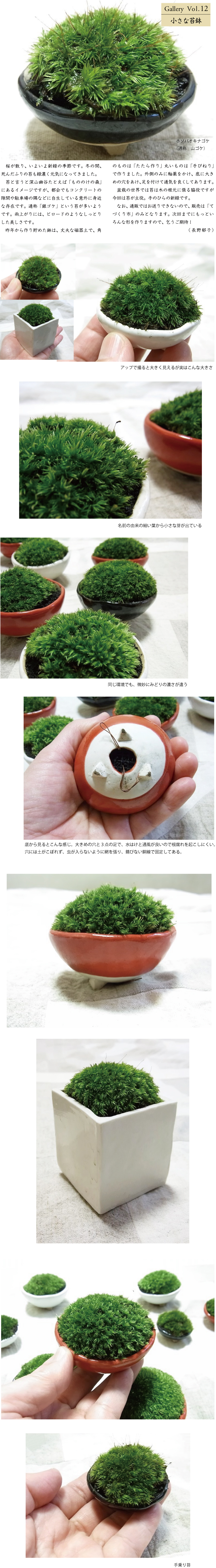 Vol.12 小さな苔鉢